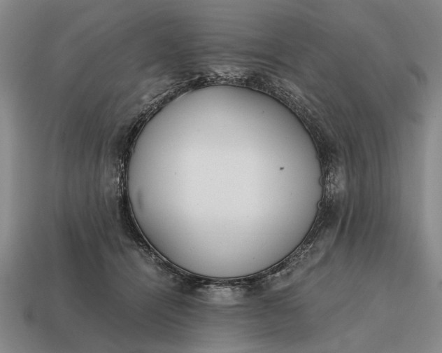 X0000115080464200911101506