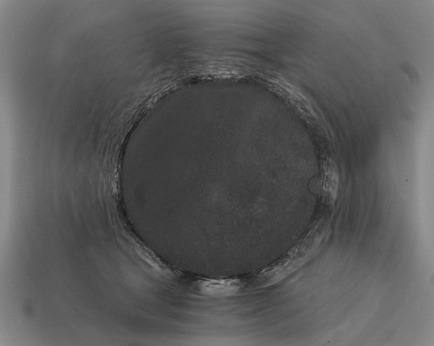 X0000115080465200911101506