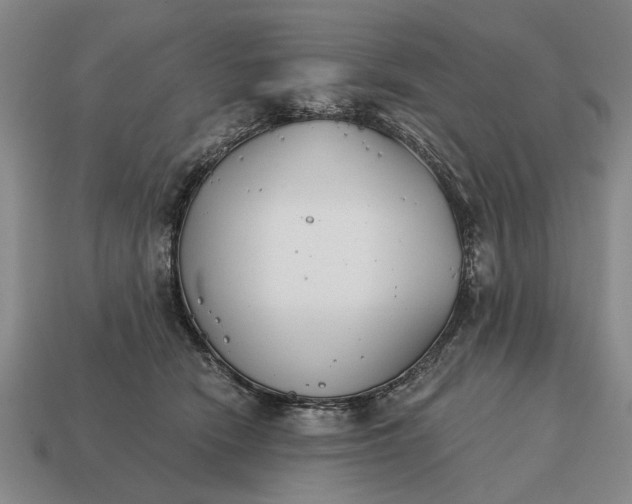 X0000115080466200911101506