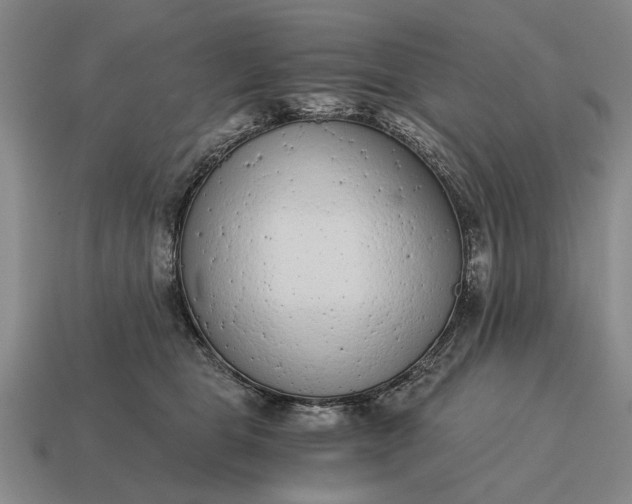 X0000115080469200911101506