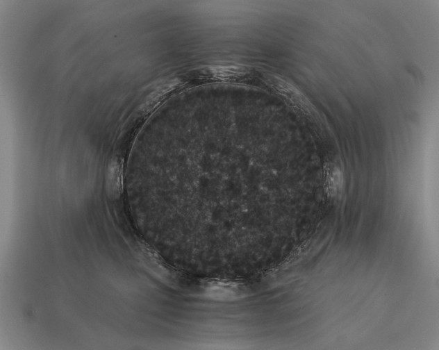 X0000115080471200911101506