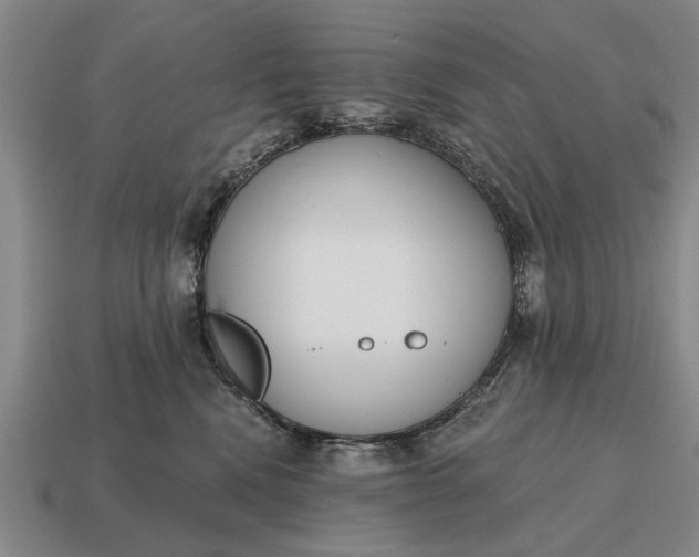 X0000115080472200911101506