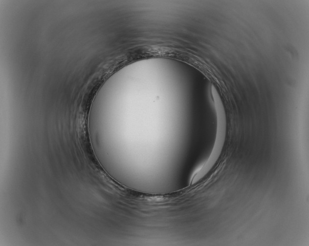 X0000115080473200911101506