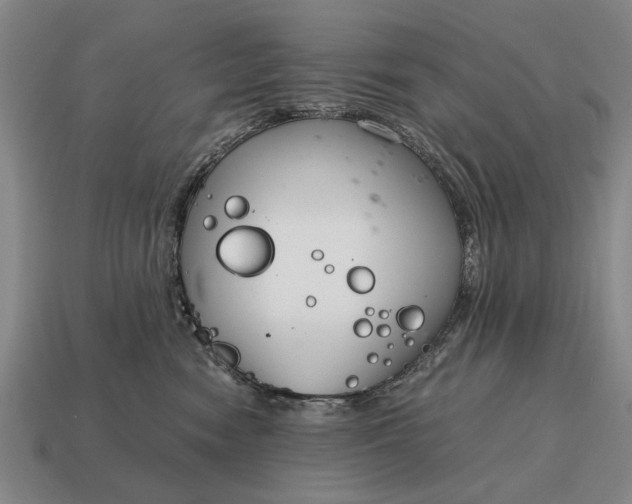 X0000115080474200911101506