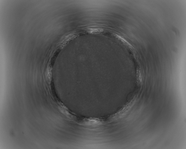 X0000115080475200911101506