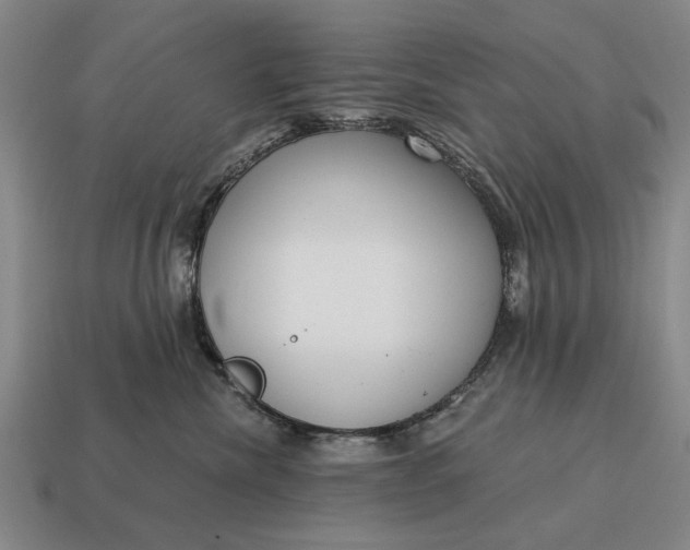 X0000115080476200911101506