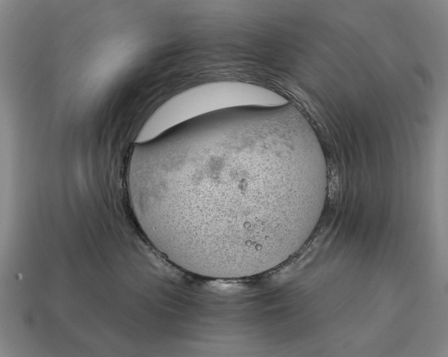 X0000115080477200911101506