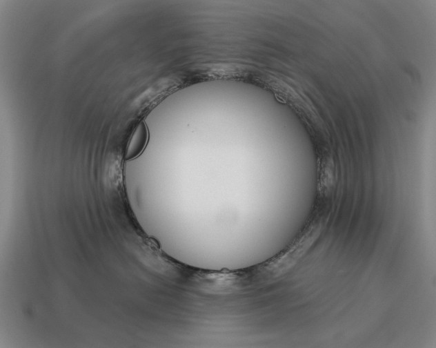 X0000115080478200911101506