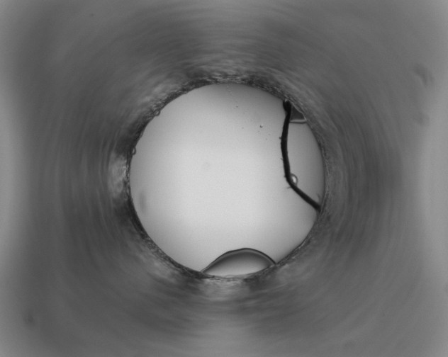 X0000115080480200911101506