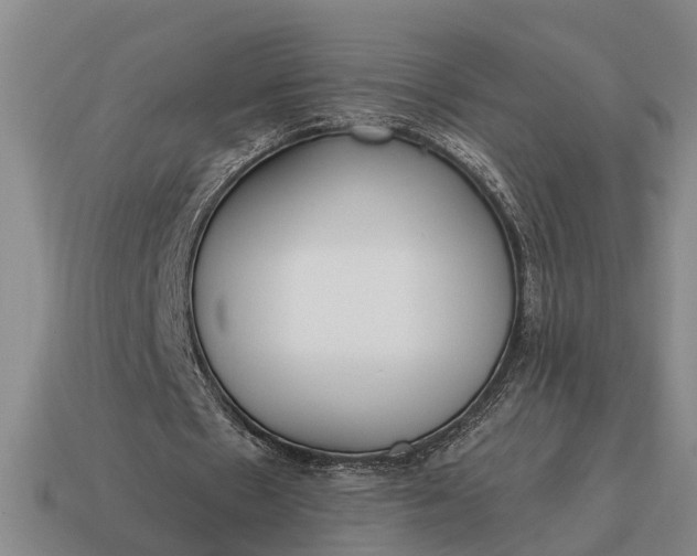 X0000115080481200911101506
