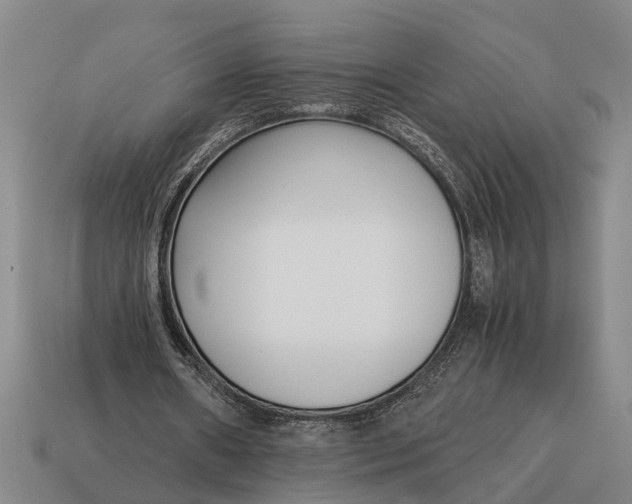 X0000115080482200911101506