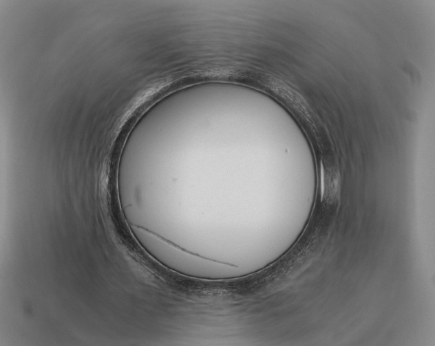 X0000115080483200911101506
