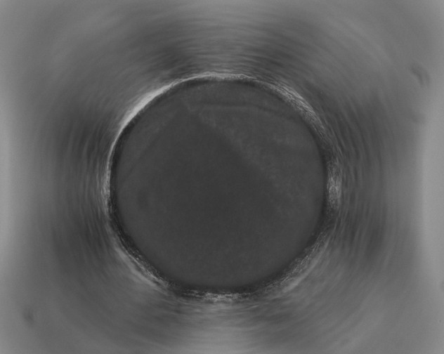 X0000115080484200911101506