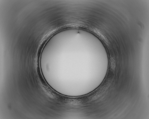 X0000115080486200911101506