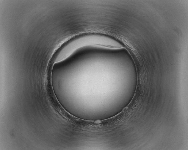 X0000115080488200911101506