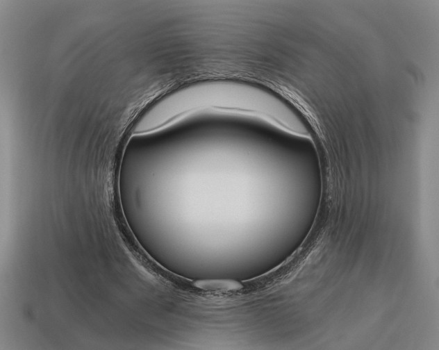 X0000115080489200911101506