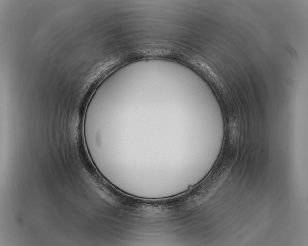 X0000115080490200911101506