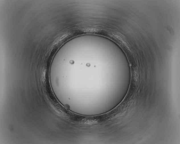X0000115080491200911101506