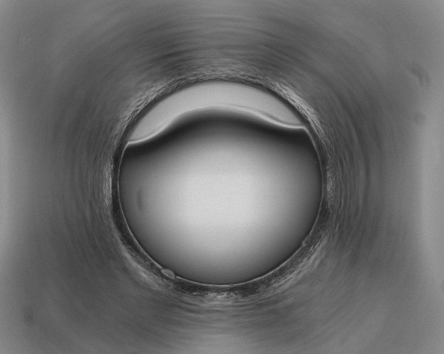 X0000115080493200911101505