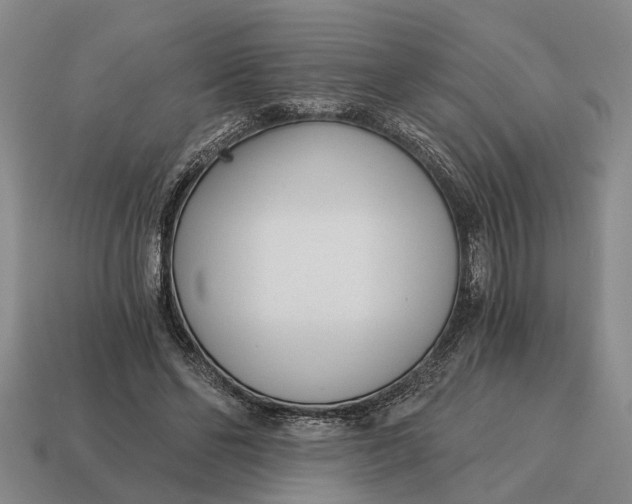 X0000115080494200911101505