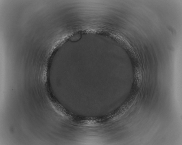 X0000115080496200911101505