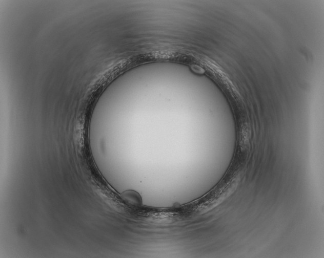 X0000115080497200911101505
