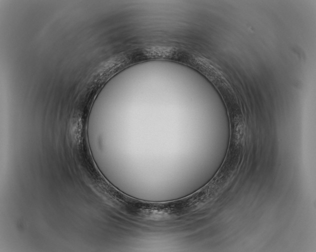 X0000115080498200911101505