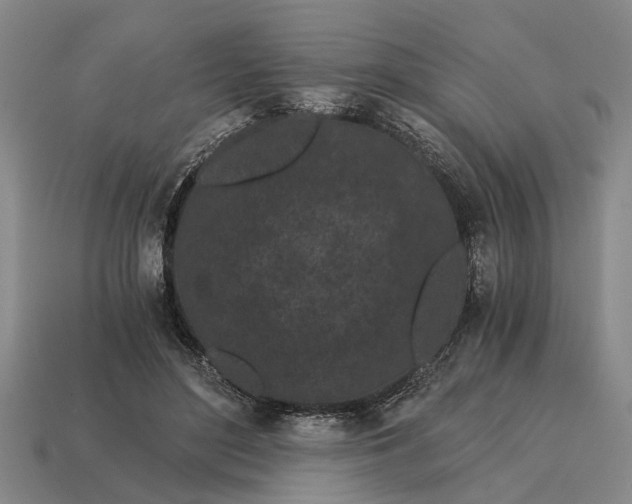 X0000115080500200911101505