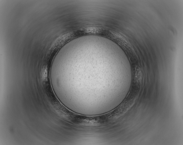X0000115080502200911101505