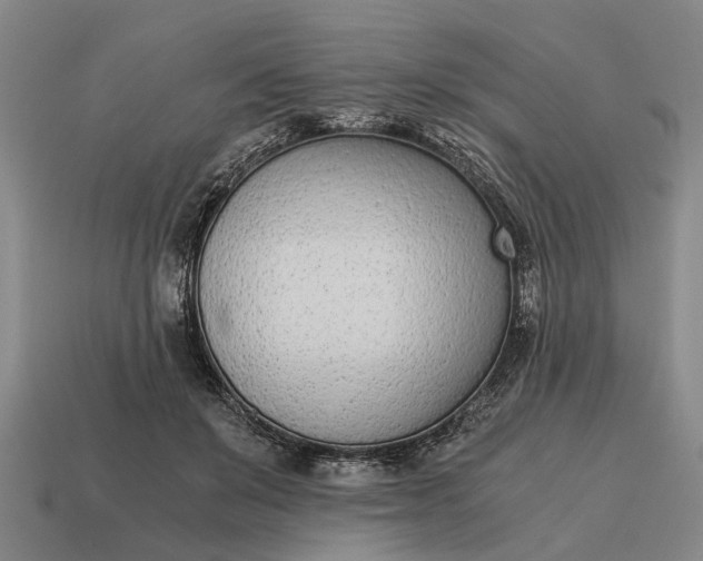 X0000115080503200911101505