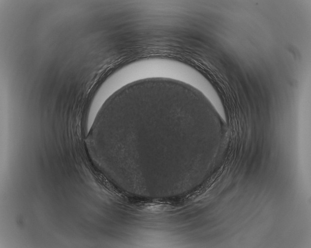 X0000115080504200911101505