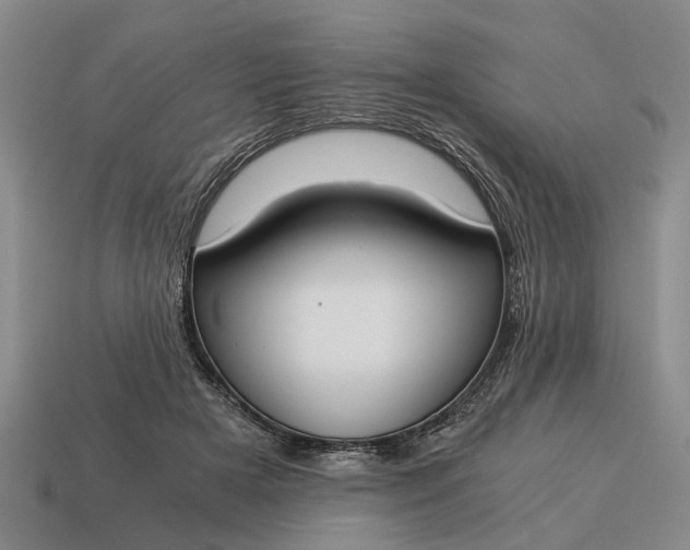 X0000115080505200911101505