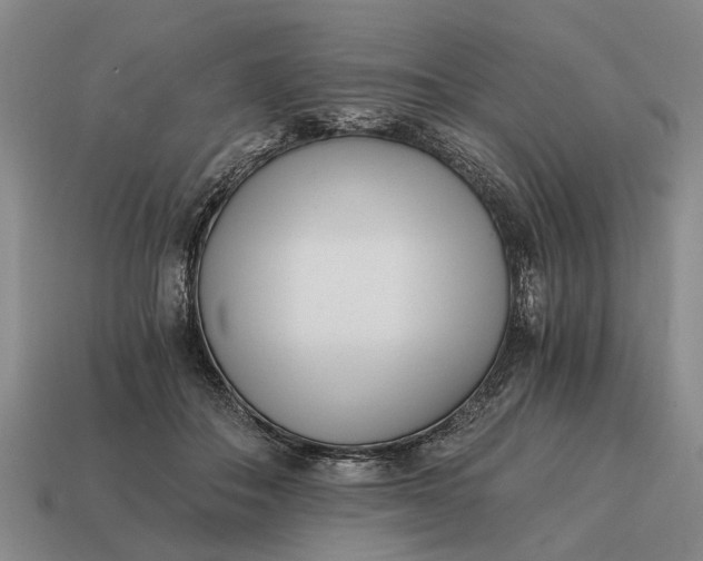 X0000115080506200911101505