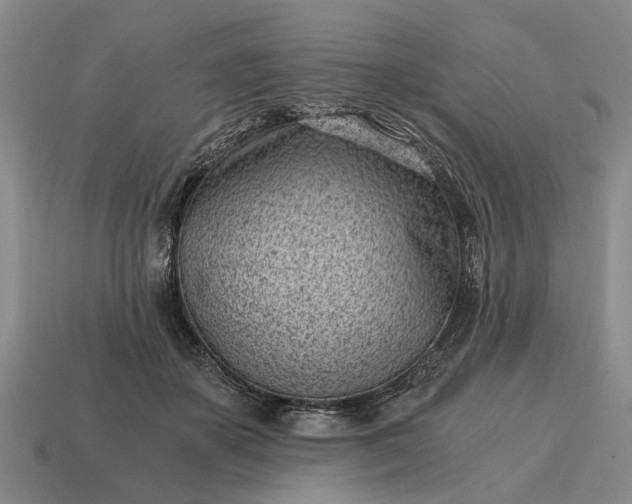 X0000115080507200911101505