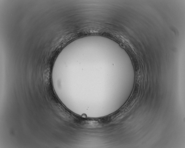 X0000115080509200911101505