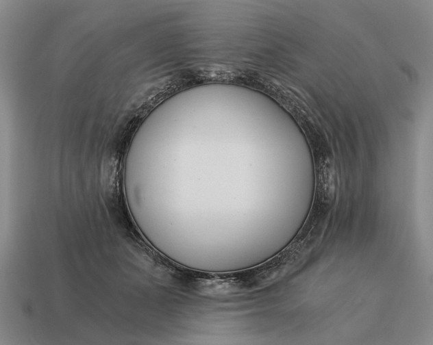 X0000115080511200911101505