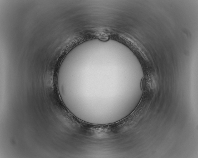 X0000115080512200911101505