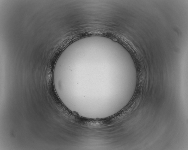 X0000115080513200911101505