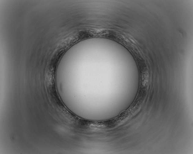 X0000115080515200911101505