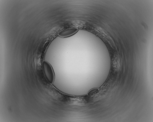 X0000115080516200911101505