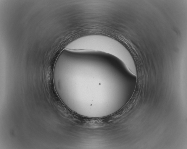 X0000115080517200911101505