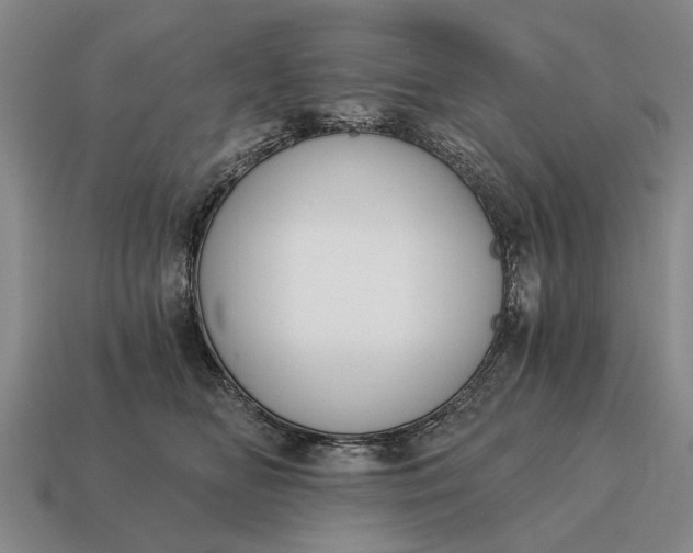 X0000115080518200911101505