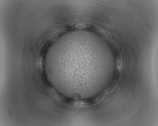 X0000115080519200911101505