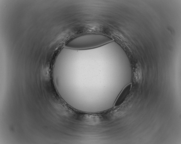 X0000115080520200911101505
