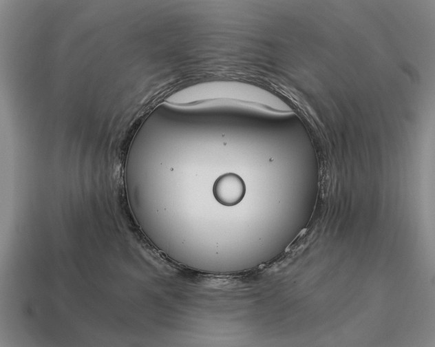 X0000115080521200911101505