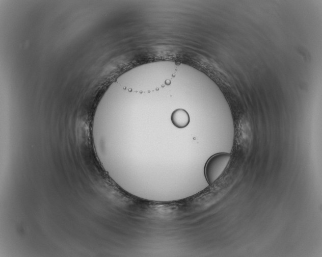 X0000115080522200911101505