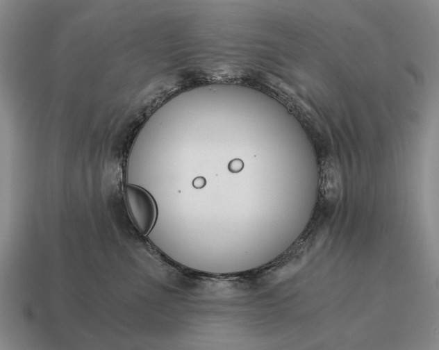 X0000115080523200911101505