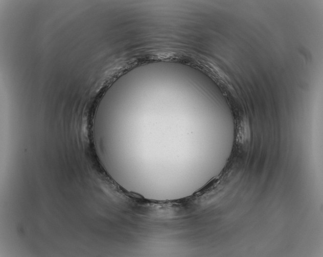 X0000115080524200911101505