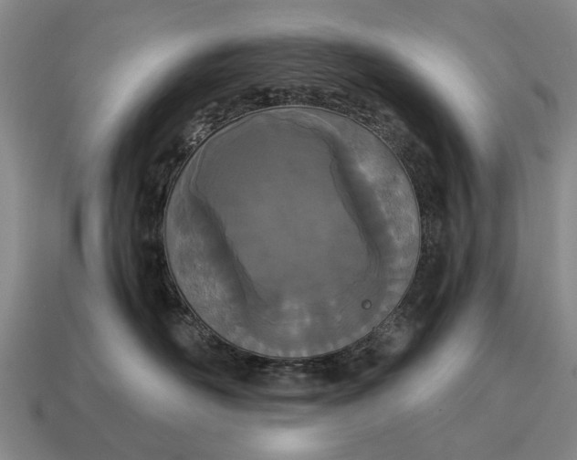 X0000115080526200911101505