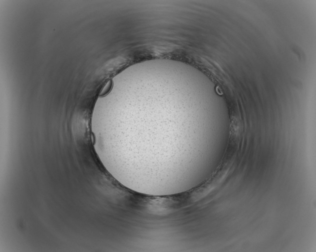 X0000115080527200911101505